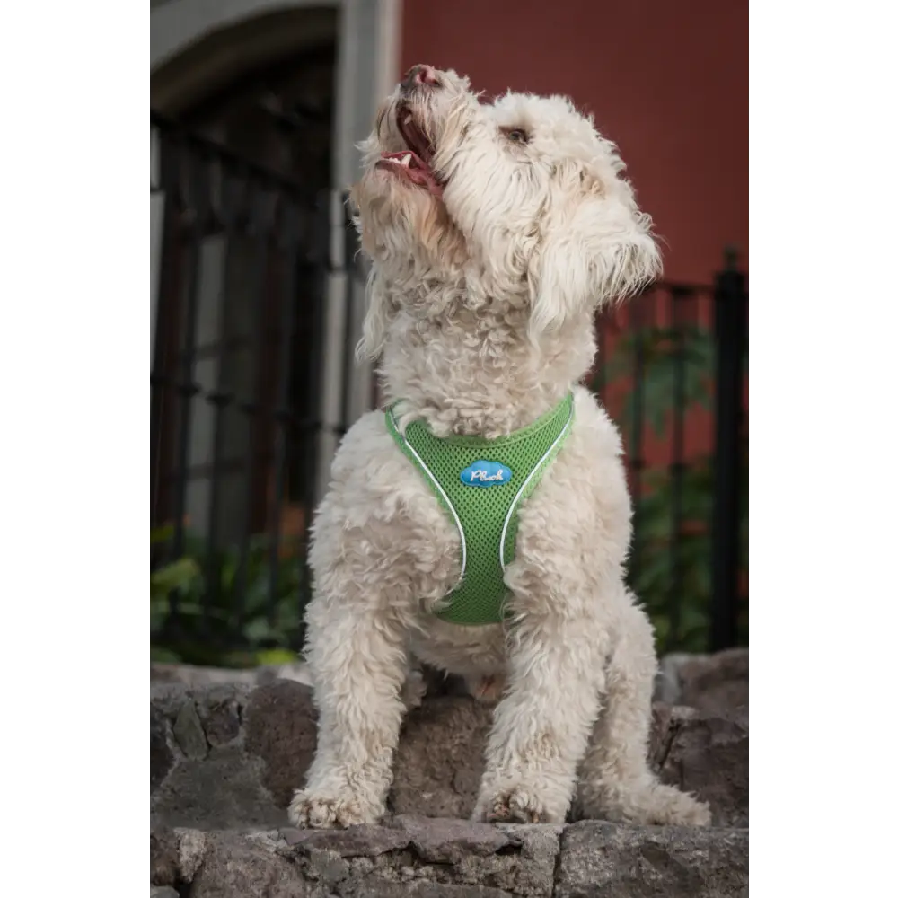 Plush Step In Air Mesh Harness - Grass Green - Step In Harness