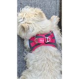 Plush Step In Air Mesh Harness - Shark Grey/Pink - Step In Harness