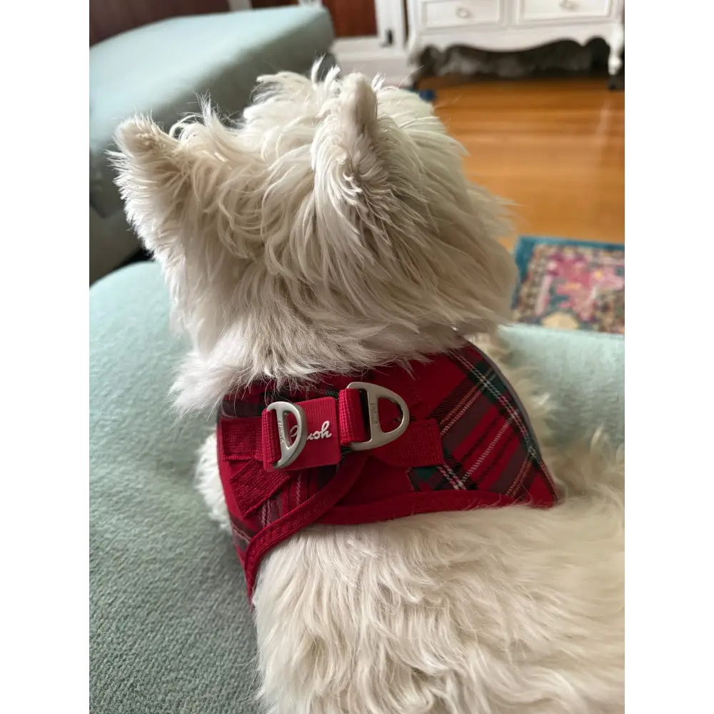 Plush Step In Harness Plaid Red - Step In Harness