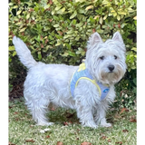 Plush Step In Harness Spring Plaid